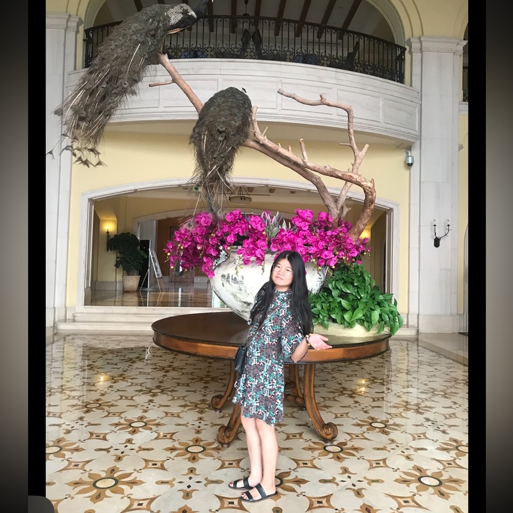 Zara mini dress. Size XS. Color. Multicolor.